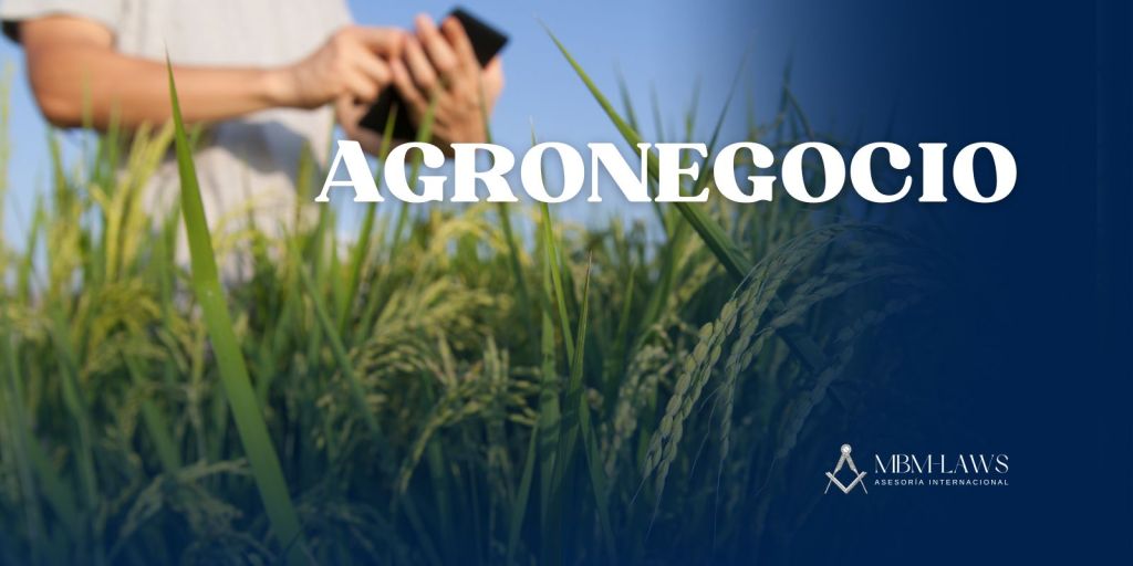 Holding Rural no Brasil 2025: Estratégia Inteligente para o&nbsp;Agronegócio